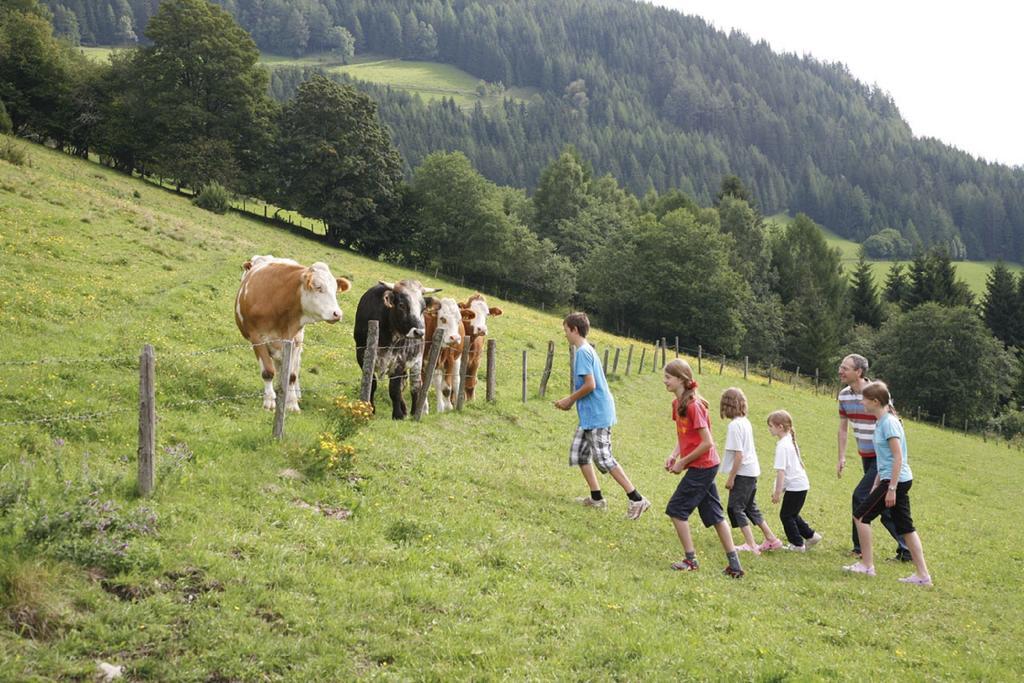 Ferienhaus Maxi Sankt Blasen Buitenkant foto