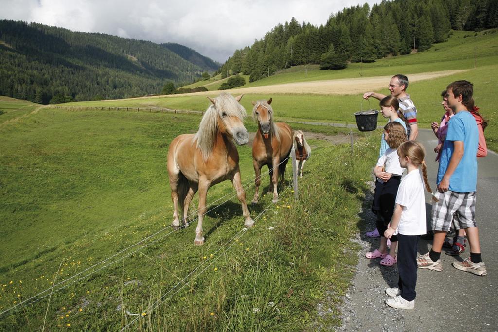 Ferienhaus Maxi Sankt Blasen Buitenkant foto